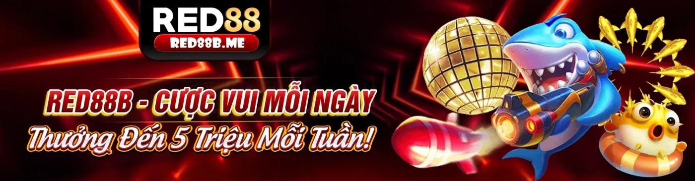 Điều khoản dịch vụ wibo88 khuyến mãi