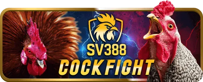 Hỗ trợ khách hàng Wibo88