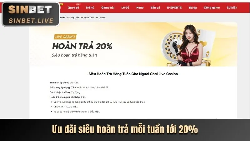 Các cấp độ VIP độc quyền